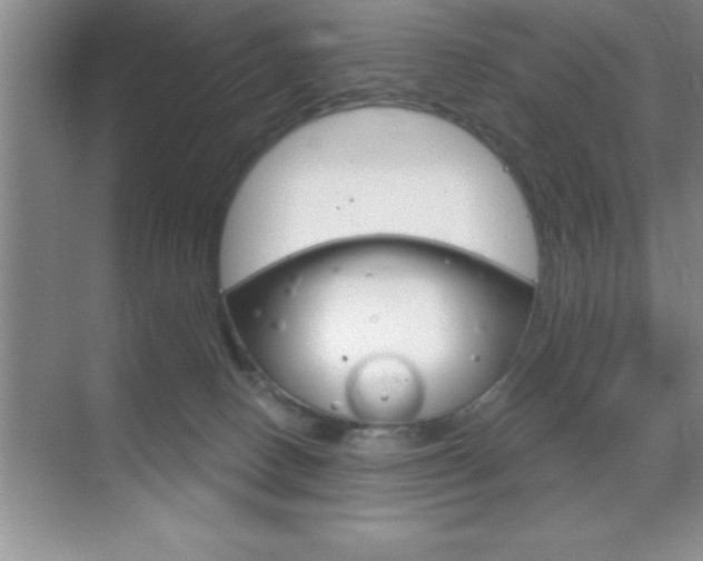 X0000070360082200606090811