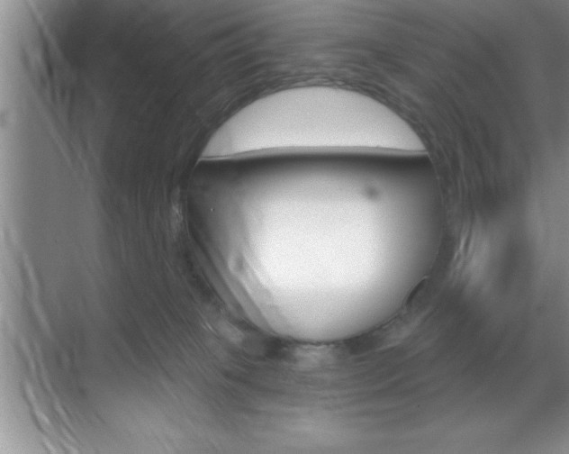 X0000070360085200606090811