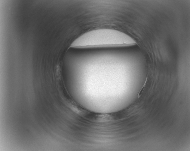 X0000070360087200606090811