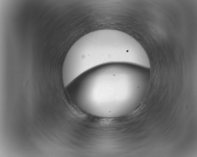 X0000070360090200606090811