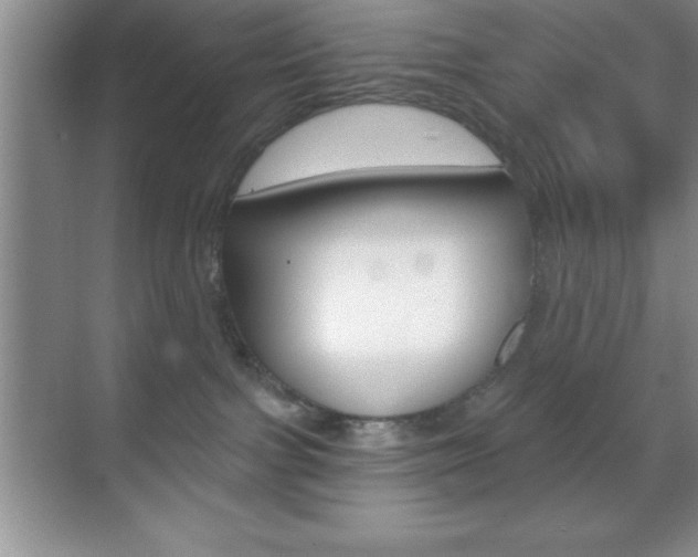 X0000070360091200606090811