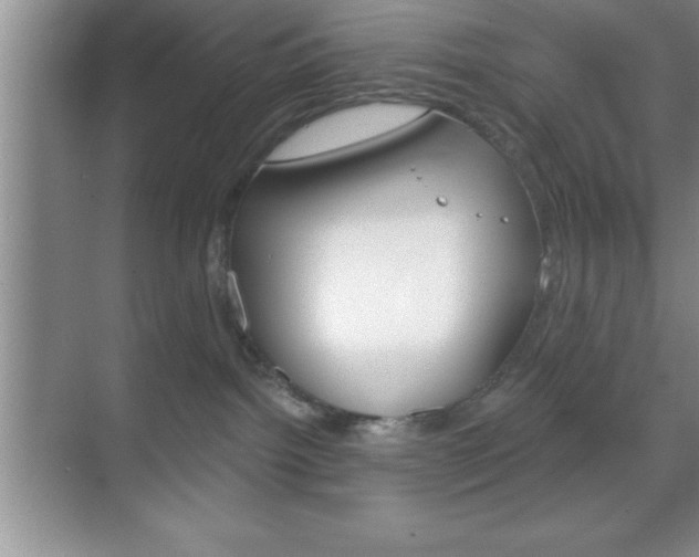 X0000070360092200606090811