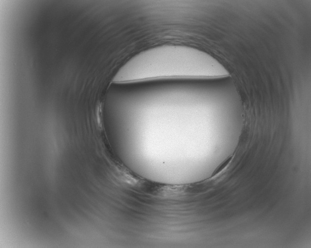 X0000070360094200606090811