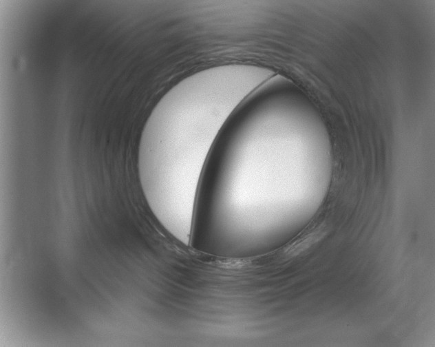 X0000070360096200606090811