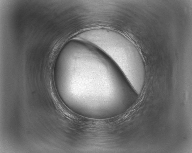 X0000070360097200606090810