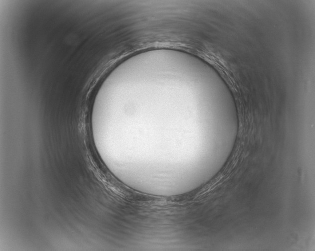 X0000070360098200606090810