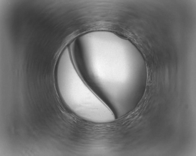 X0000070360099200606090810