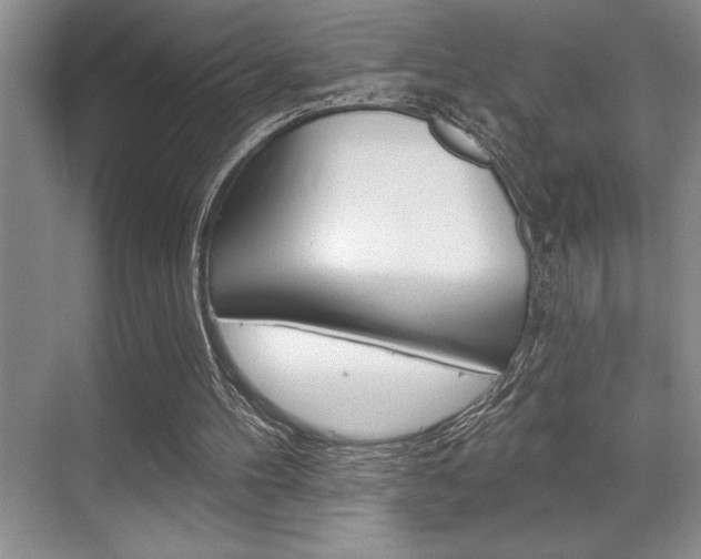 X0000070360100200606090810