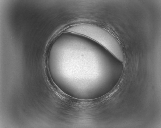 X0000070360101200606090810