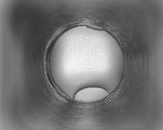 X0000070360102200606090810