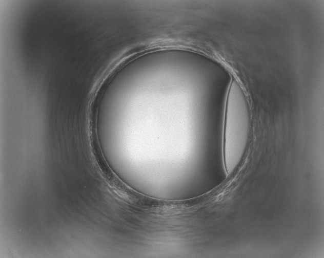 X0000070360103200606090810