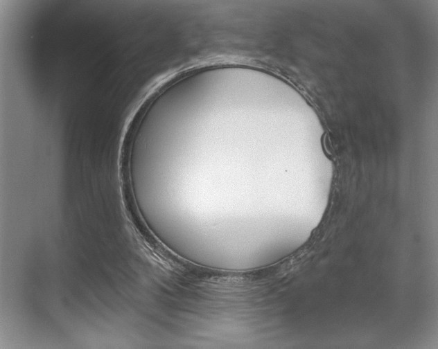 X0000070360104200606090810