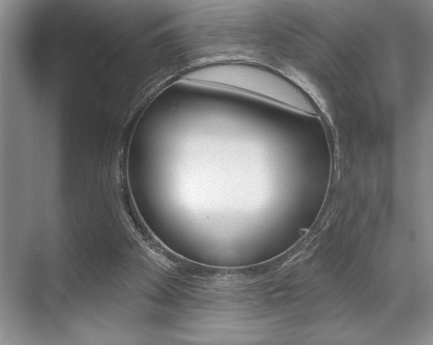 X0000070360105200606090810