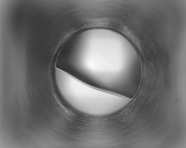 X0000070360107200606090810