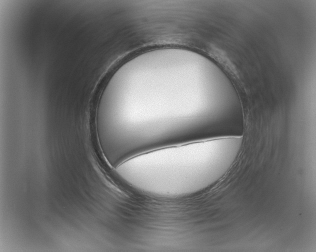 X0000070360108200606090810