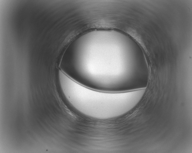 X0000070360109200606090810