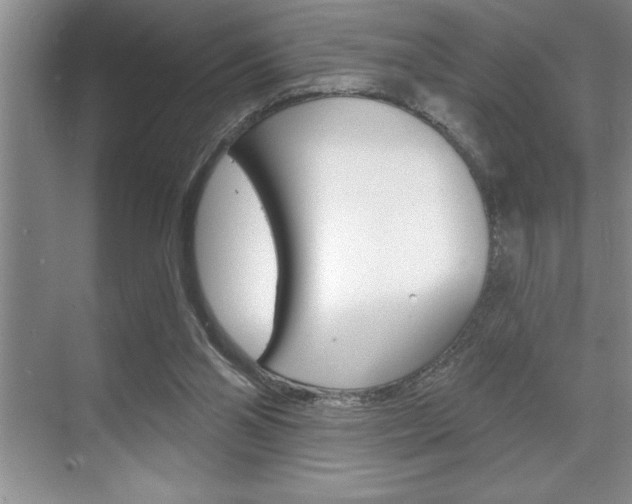 X0000070360110200606090810