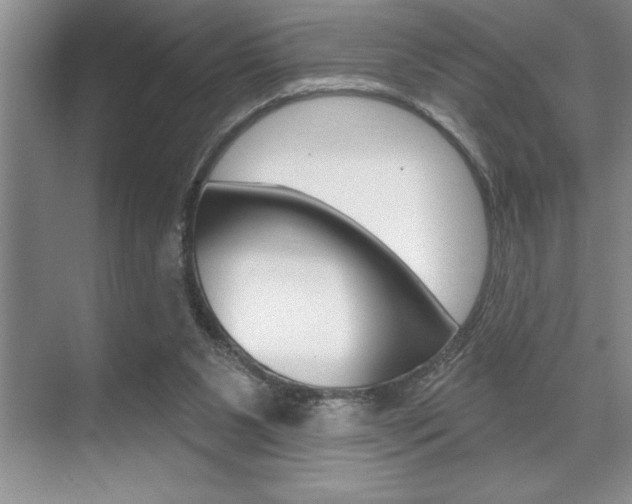 X0000070360111200606090810