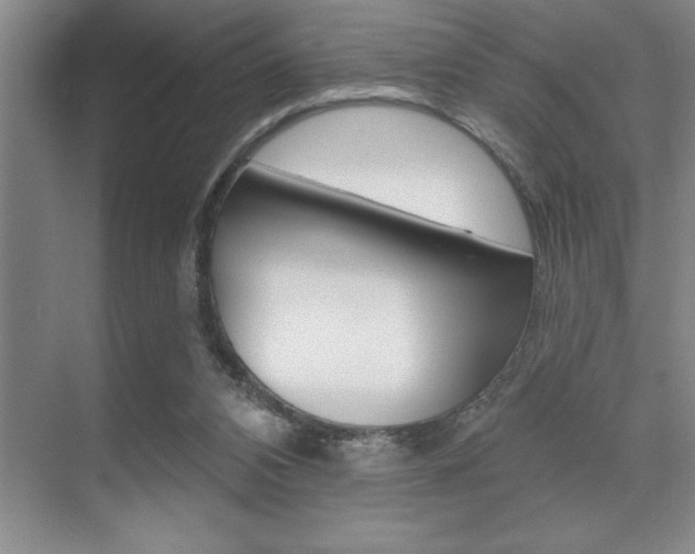 X0000070360112200606090810