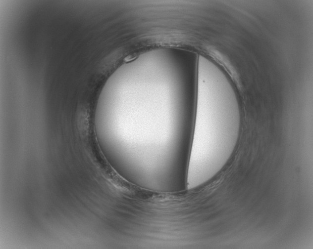 X0000070360113200606090810