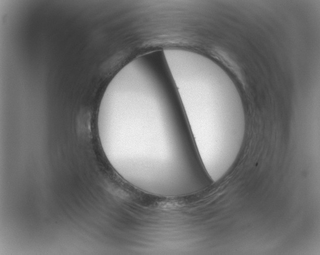 X0000070360115200606090810