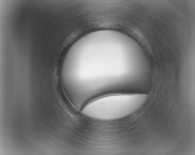 X0000070360116200606090810