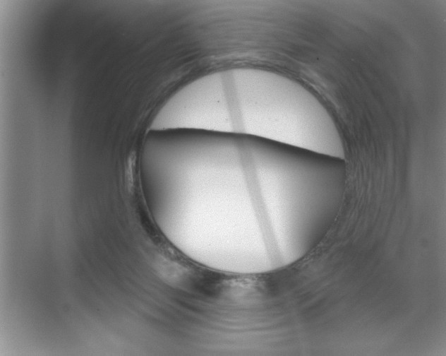 X0000070360118200606090810