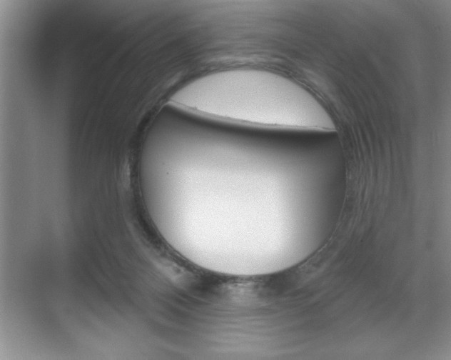 X0000070360120200606090810