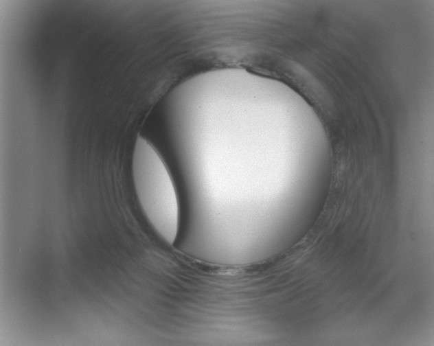 X0000070360121200606090810