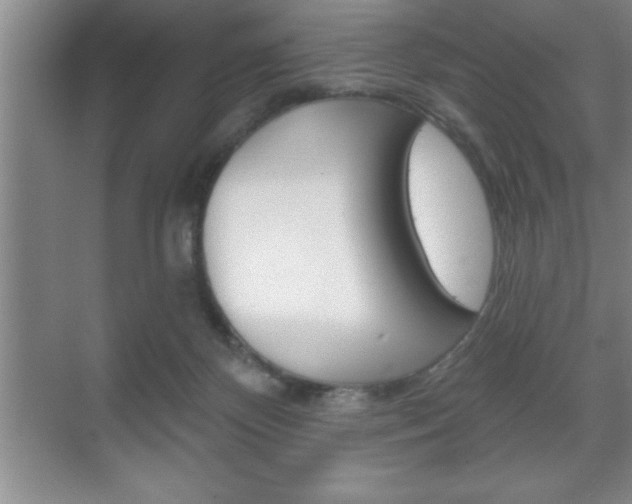 X0000070360124200606090810