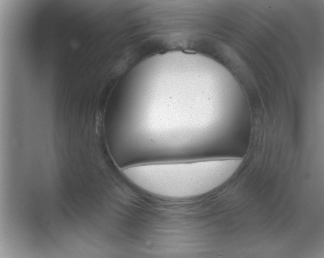 X0000070360125200606090810