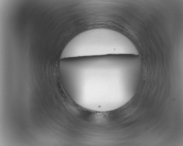 X0000070360126200606090810