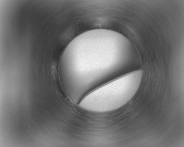 X0000070360127200606090810