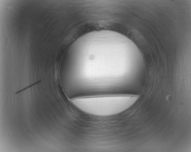 X0000070360129200606090810