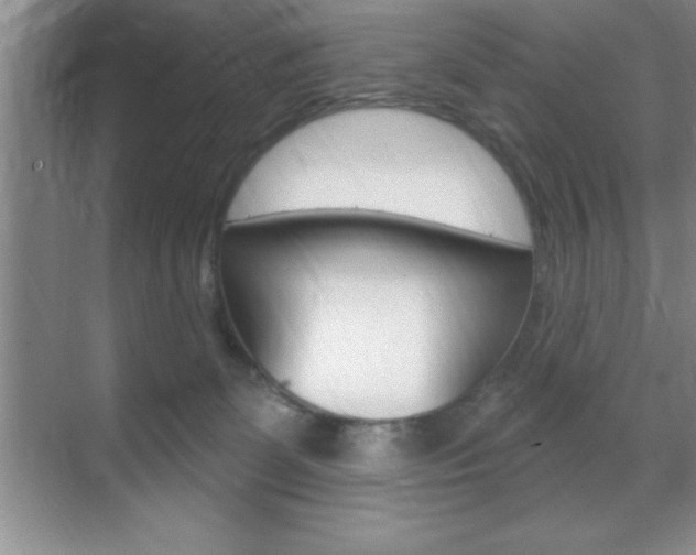 X0000070360131200606090810