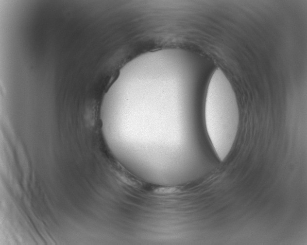 X0000070360133200606090809