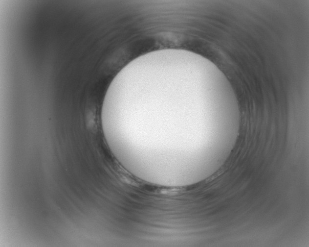 X0000070360134200606090809