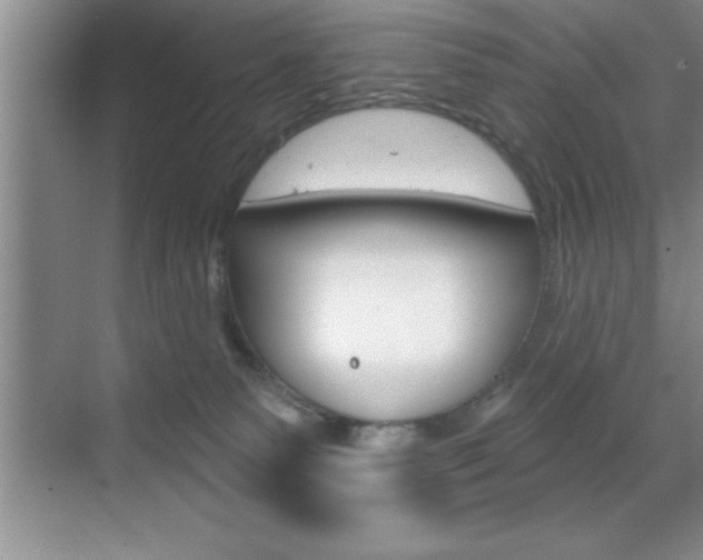 X0000070360135200606090809