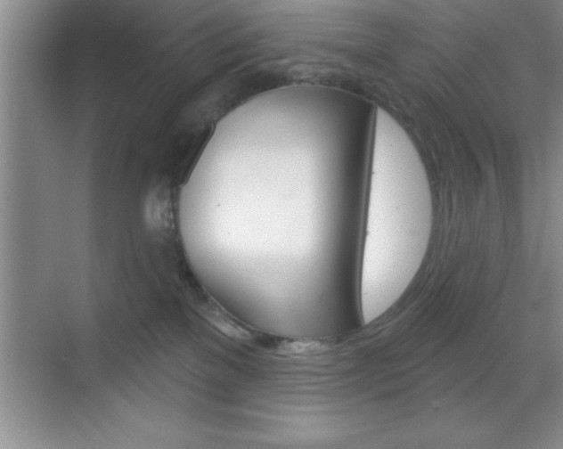 X0000070360137200606090809