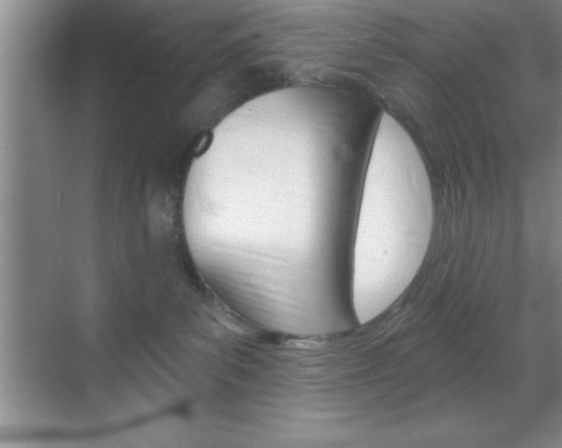 X0000070360139200606090809