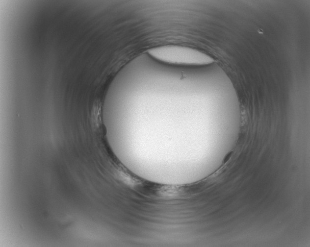 X0000070360142200606090809