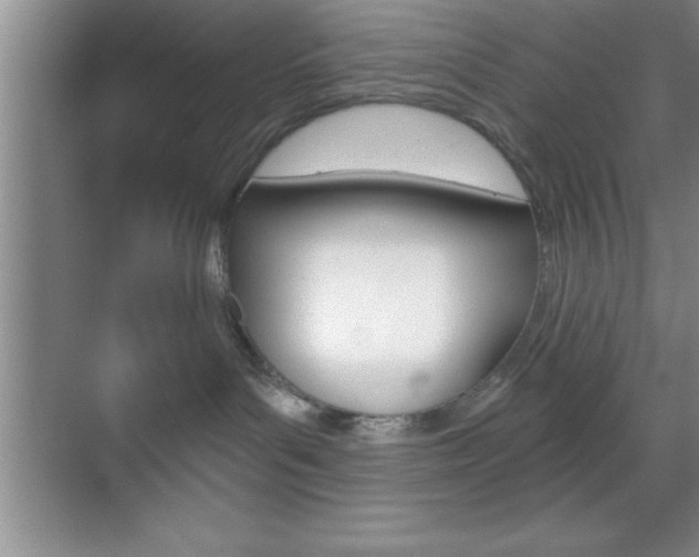 X0000070360143200606090809