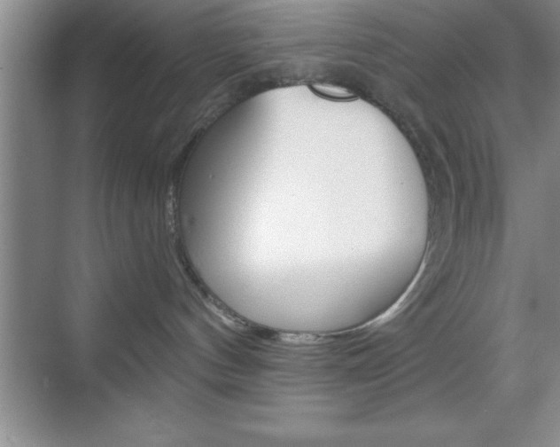 X0000070360144200606090809