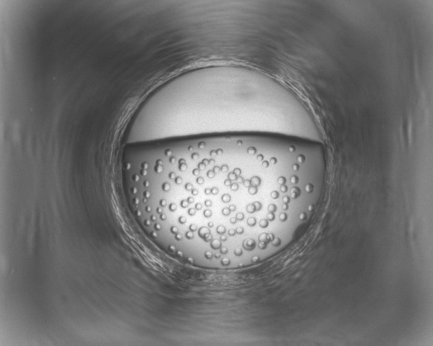 X0000070360145200606090808