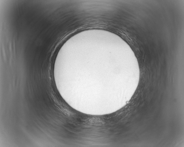 X0000070360146200606090809