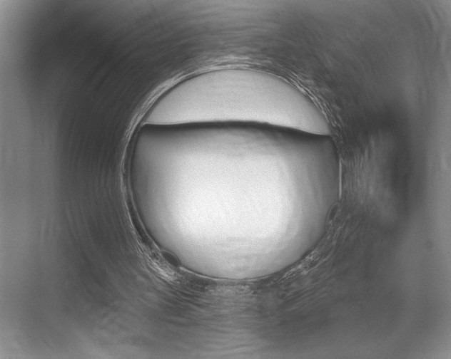 X0000070360147200606090809