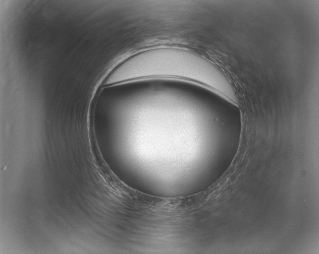 X0000070360148200606090809