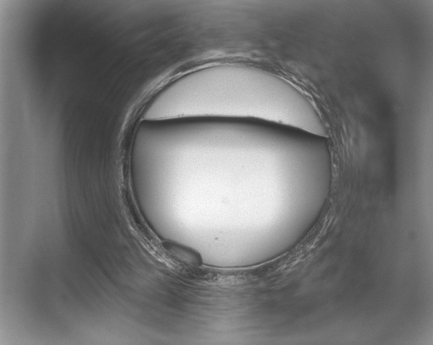 X0000070360149200606090809