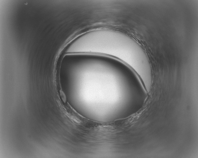 X0000070360150200606090809