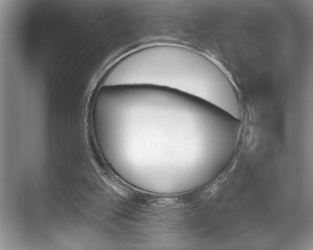 X0000070360151200606090809